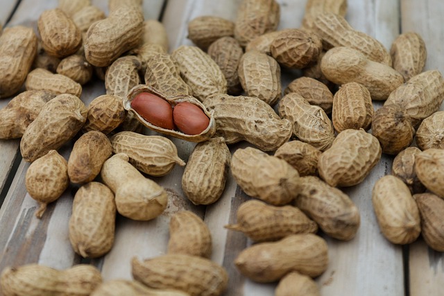 Keto Diet snacks